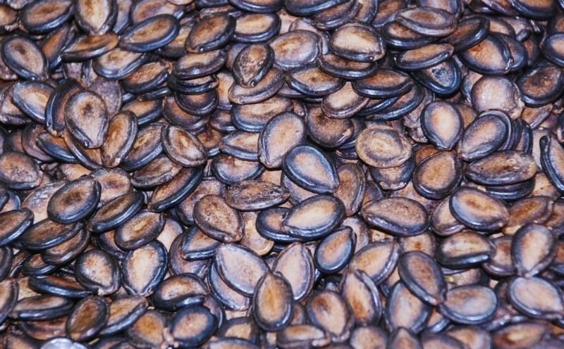 供應(yīng)兄弟香酥仁西瓜子廠家批發(fā)