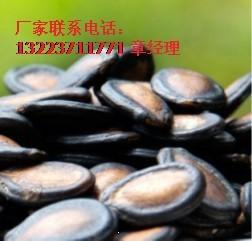 供應(yīng)河北香酥仁瓜子批發(fā)，河北香酥仁瓜子批發(fā)價(jià)格