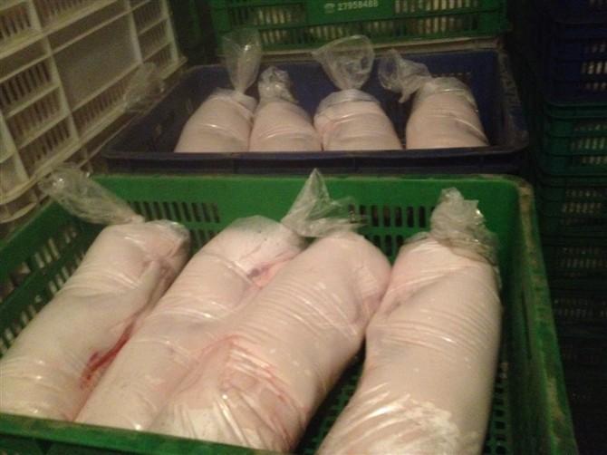 供應(yīng)出售冰凍乳豬 冰凍乳豬直銷 冰凍乳豬多少錢 冰凍乳豬哪里好