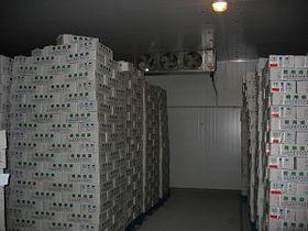 醫(yī)藥冷庫圖片