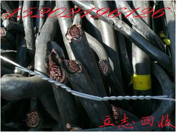 供應(yīng)蘇州電纜線網(wǎng)線回收拆除