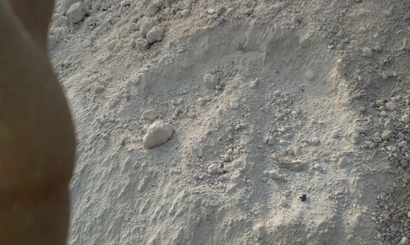 結合劑圖片/結合劑樣板圖 (2)