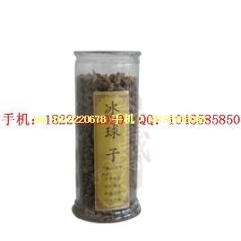 供應(yīng)雞屎藤
