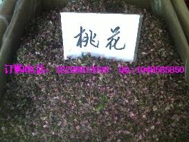 供應(yīng)美容養(yǎng)顏桃花茶價(jià)格
