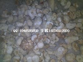 供應(yīng)生關(guān)白附子價格藥用方法