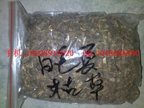 供應(yīng)紫羅蘭藏紅花價(jià)格