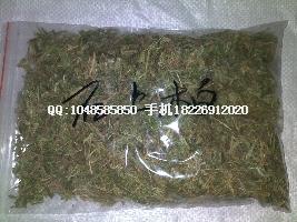 供應(yīng)貓須草