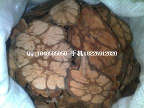 白花鵝掌柴批發(fā)廠(chǎng)家圖片