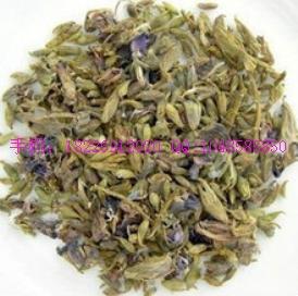 葛花葛根花圖片