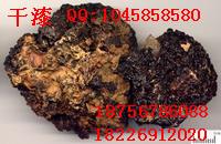 供應瓦松價格瓦松批發(fā)藥用方法