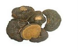 正品槐耳價(jià)格圖片