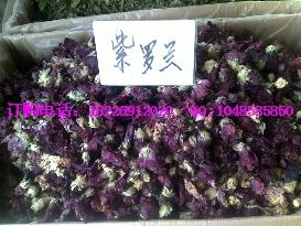 供應紫羅蘭花茶批發(fā)價格
