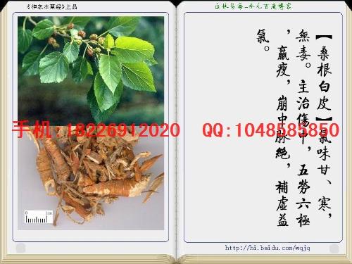 供應(yīng)烏韭價格烏桕根皮批發(fā)