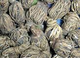 供應(yīng)金櫻子根粉價格（刺梨子根批發(fā)