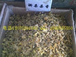 供應(yīng)金絲草