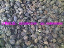 橄欖核橄欖價(jià)格圖片