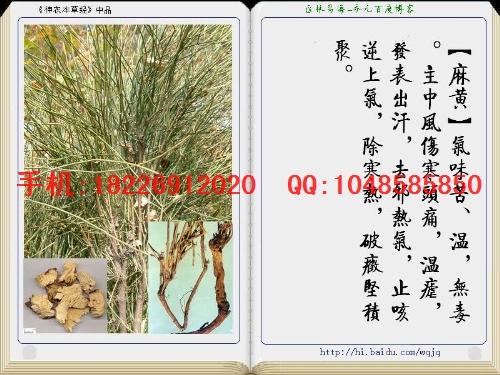 供應正品牛黃價格