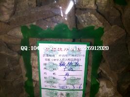 供應(yīng)烏柏根皮（烏桕根皮價(jià)格菱角殼批發(fā)