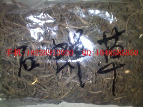 供應(yīng)石刁柏價(jià)格