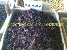 供應(yīng)金絲草