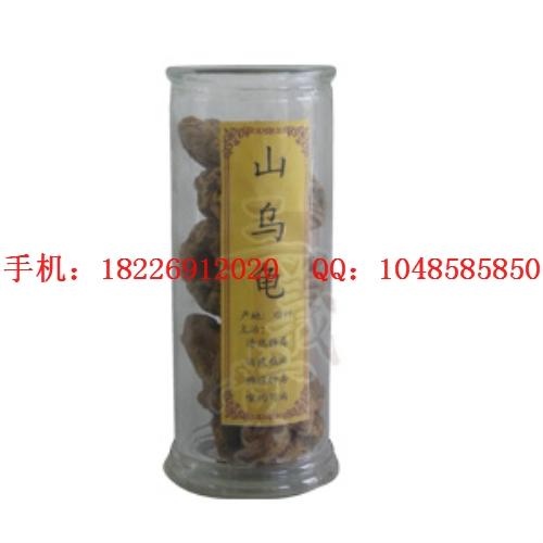 供應雙參價格雙腎參批發(fā)