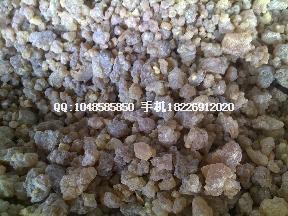 供應(yīng)貓眼草 優(yōu)質(zhì)貓眼草 優(yōu)質(zhì)澤漆，貓眼草 優(yōu)質(zhì)澤漆，貓眼草，乳漿大戟 優(yōu)質(zhì)選貨澤漆，貓眼草，乳漿大戟