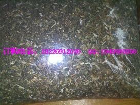 牛筋草價格牛筋草批發(fā)圖片