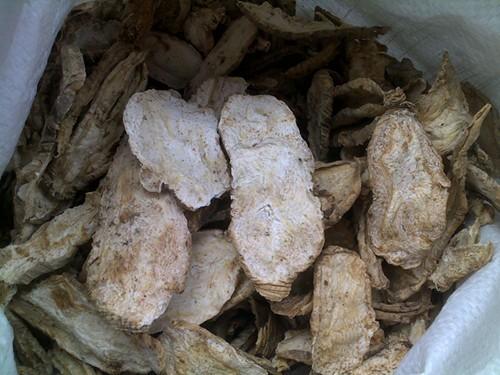 供應(yīng)望月砂（兔子屎