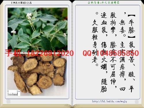 供應(yīng)鴨腳木皮價格