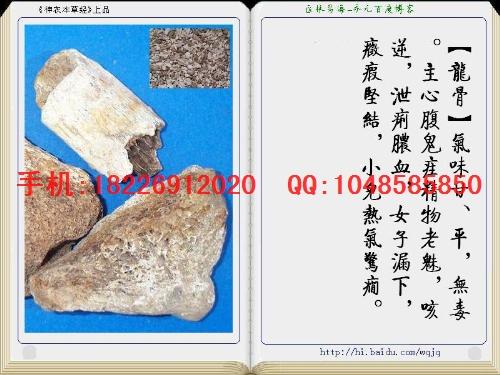 龍骨龍齒價格圖片