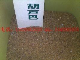 供應(yīng)黃芪種子價(jià)格黃芪種植資料