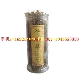 供應(yīng)燈盞花