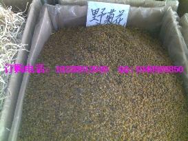 供應(yīng)新品辛夷花野菊花迎春花價格