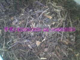 喉嚨草價(jià)格圖片