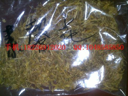 供應(yīng)苦楝皮苦楝、楝樹果、楝棗子