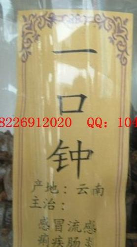 供應(yīng)正品海馬批發(fā)價格