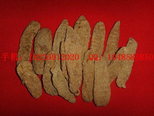 供應(yīng)天麻批發(fā)價(jià)格