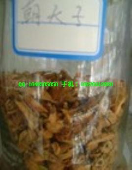 供應(yīng)朝天子價(jià)格潮蟲批發(fā)價(jià)格