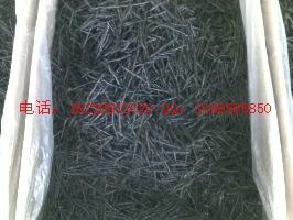 供應(yīng)鹿茸草（*草