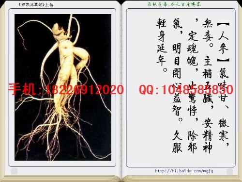 供應龍骨龍齒價格