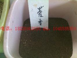 供應(yīng)新白芷種子價格