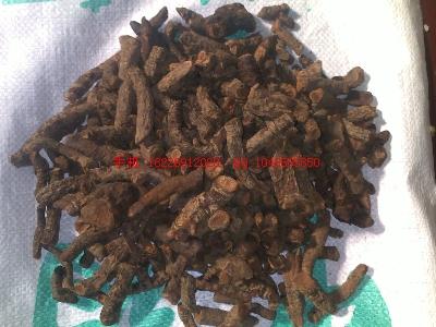 供應(yīng)血三七價(jià)格