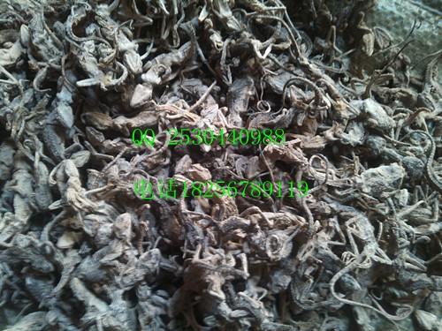 供應(yīng)望月砂（兔子屎