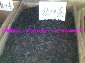 供應(yīng)番瀉葉價格