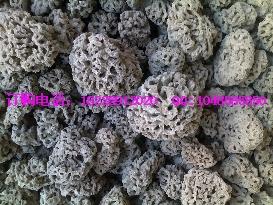 供應(yīng)酸棗仁價(jià)格酸棗仁批發(fā)