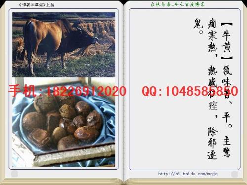 供应正品牛黄价格图片