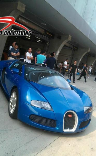 租游艇婚慶游艇出租租大型游艇婚車(chē)租布加迪婚車(chē)租布加迪展示布加迪