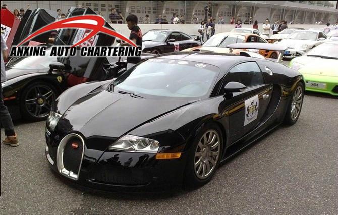 供應(yīng)江浙滬租布加迪全國租布加迪車展租布加迪婚車租布加迪展示布加迪