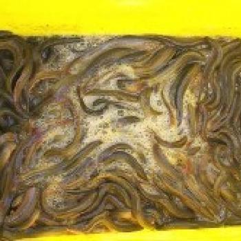 供應(yīng)北京黑魚苗養(yǎng)殖場(chǎng)