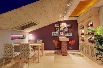 供應(yīng)凱爾麗斯斜斜屋頂窗江蘇代理